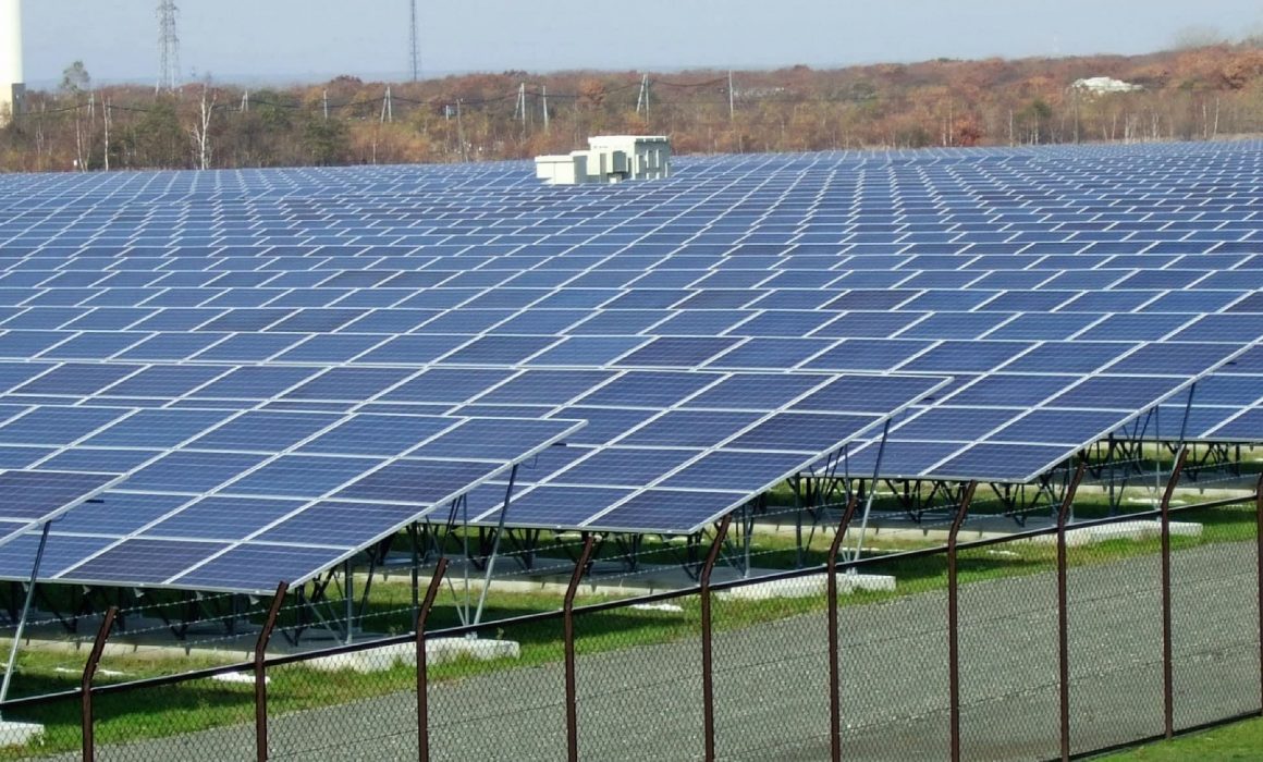 solarfield and renewable solar